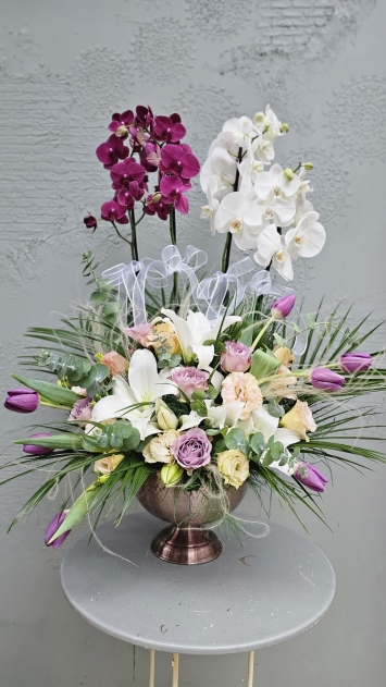 4 DAL ORKİDE ARANJMAN